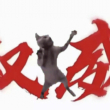 也是成功的混柴圈了 好吧