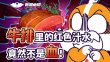 小白爱吃Muffin