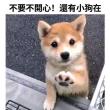 珍珍爱吃Popcorn