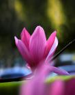戚谊又o