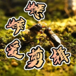 太子妃发现当朝太子和她一样都是穿越者