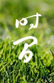 环球自恋公主男