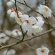 “不但……而且”是不是关联词?与“不仅……而且”有什么区别?_百度知道