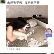 震动***机0