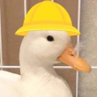 否*肥