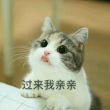 曲*