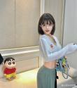 Havana的流浪猫
