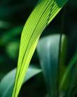 蒙特利尔的BM爱豆